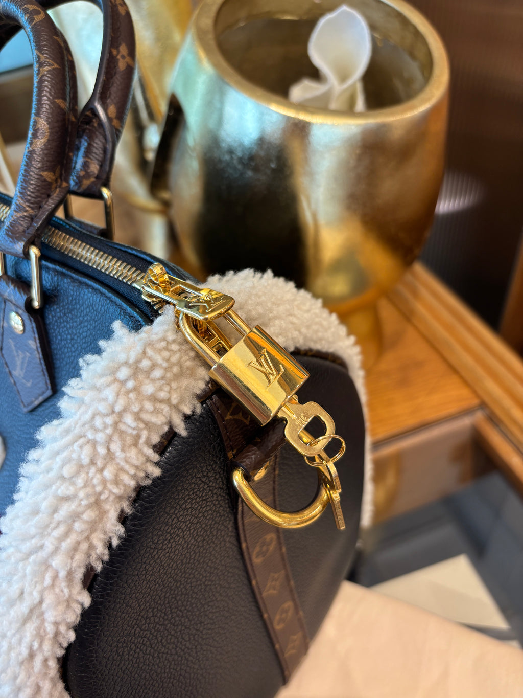 Louis Vuitton  Speedy 30 Teddy edizione limitata