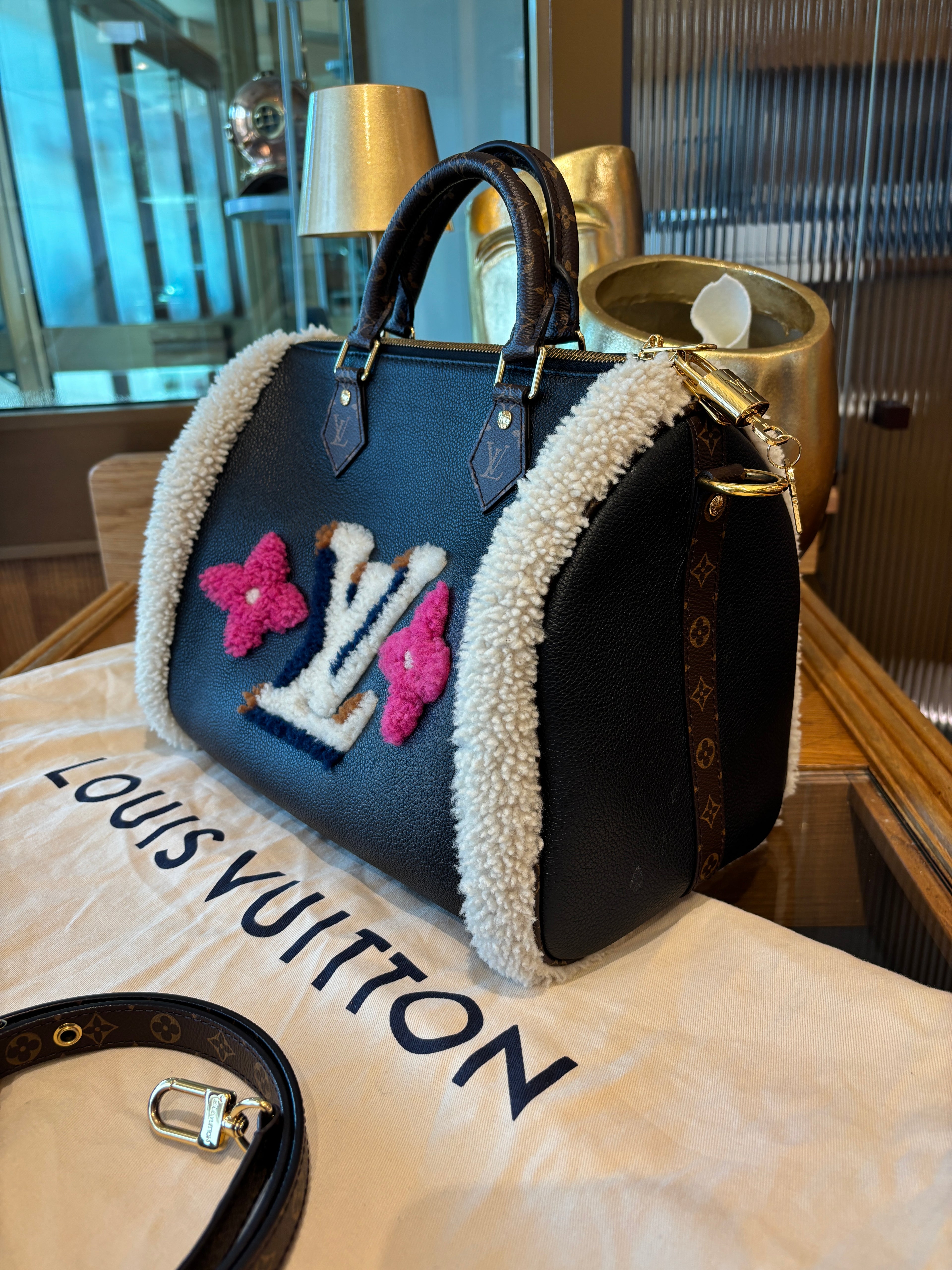 Louis Vuitton  Speedy 30 Teddy edizione limitata