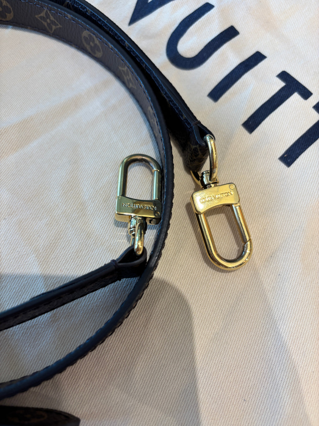 Louis Vuitton  Speedy 30 Teddy edizione limitata