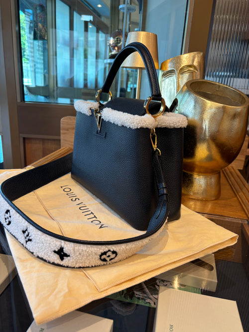 Louis Vuitton Capucines