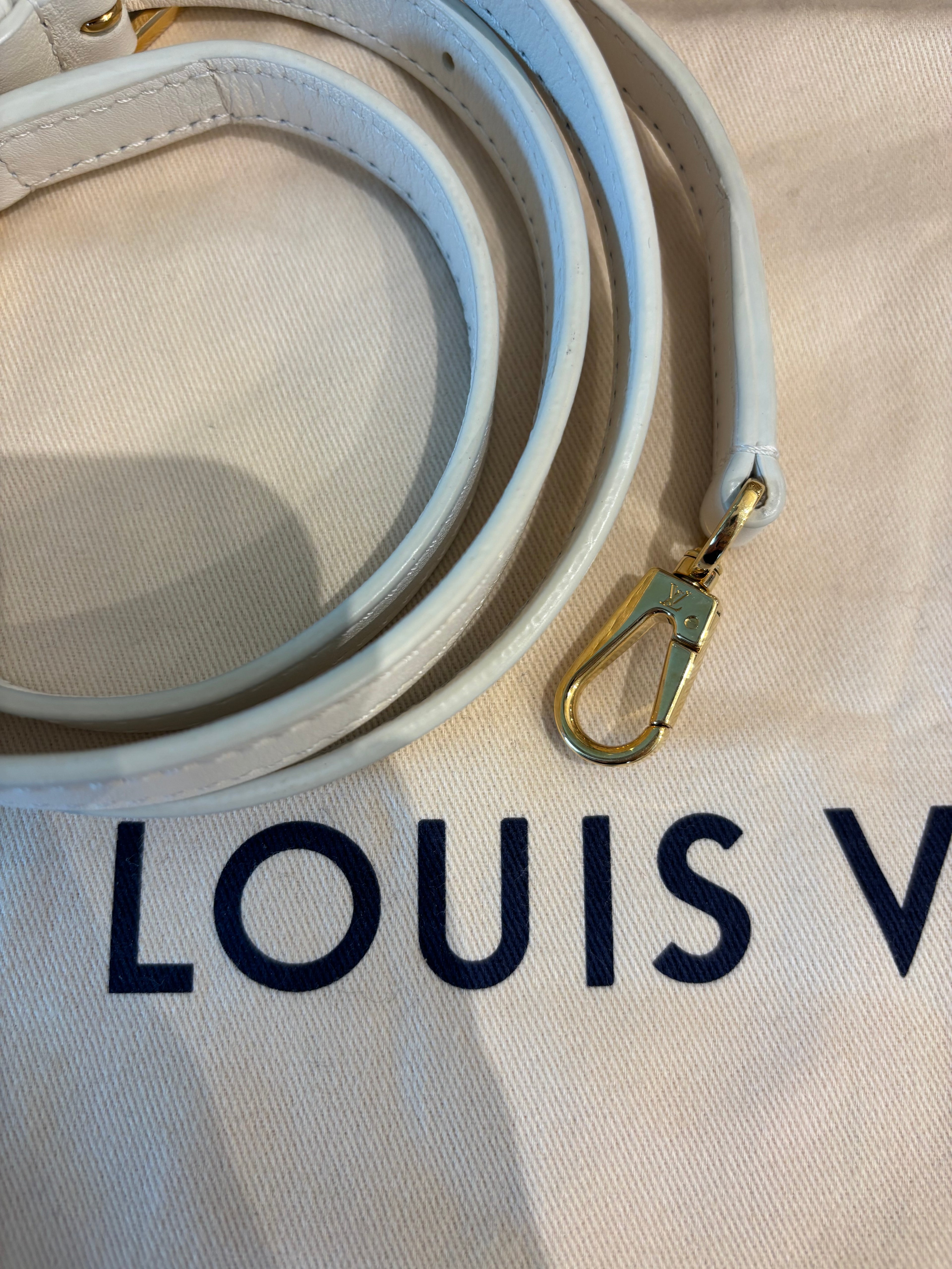 Louis Vuitton Capucines