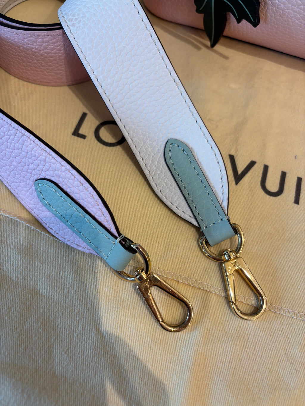 Louis Vuitton Capucines