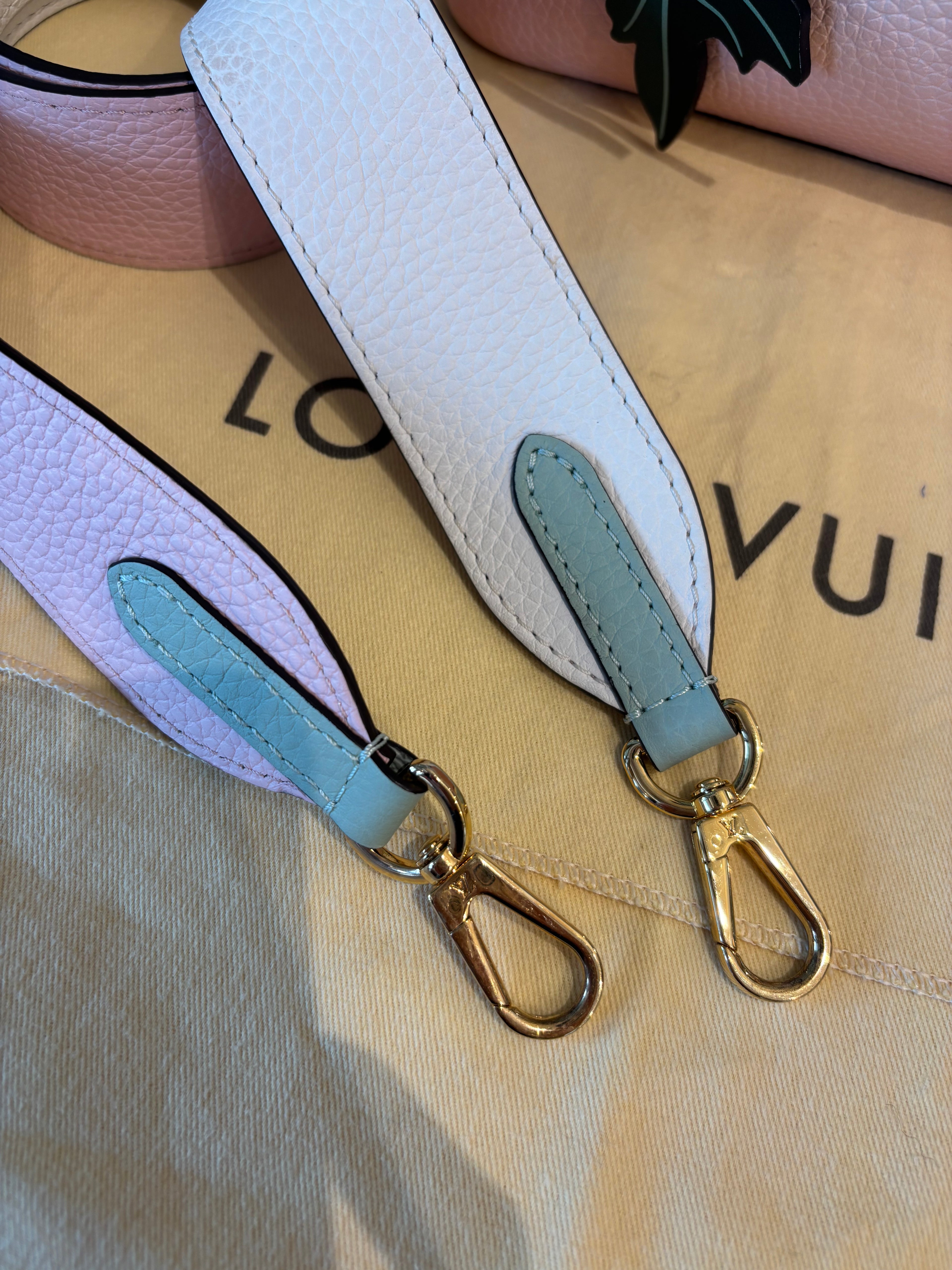 Louis Vuitton Capucines