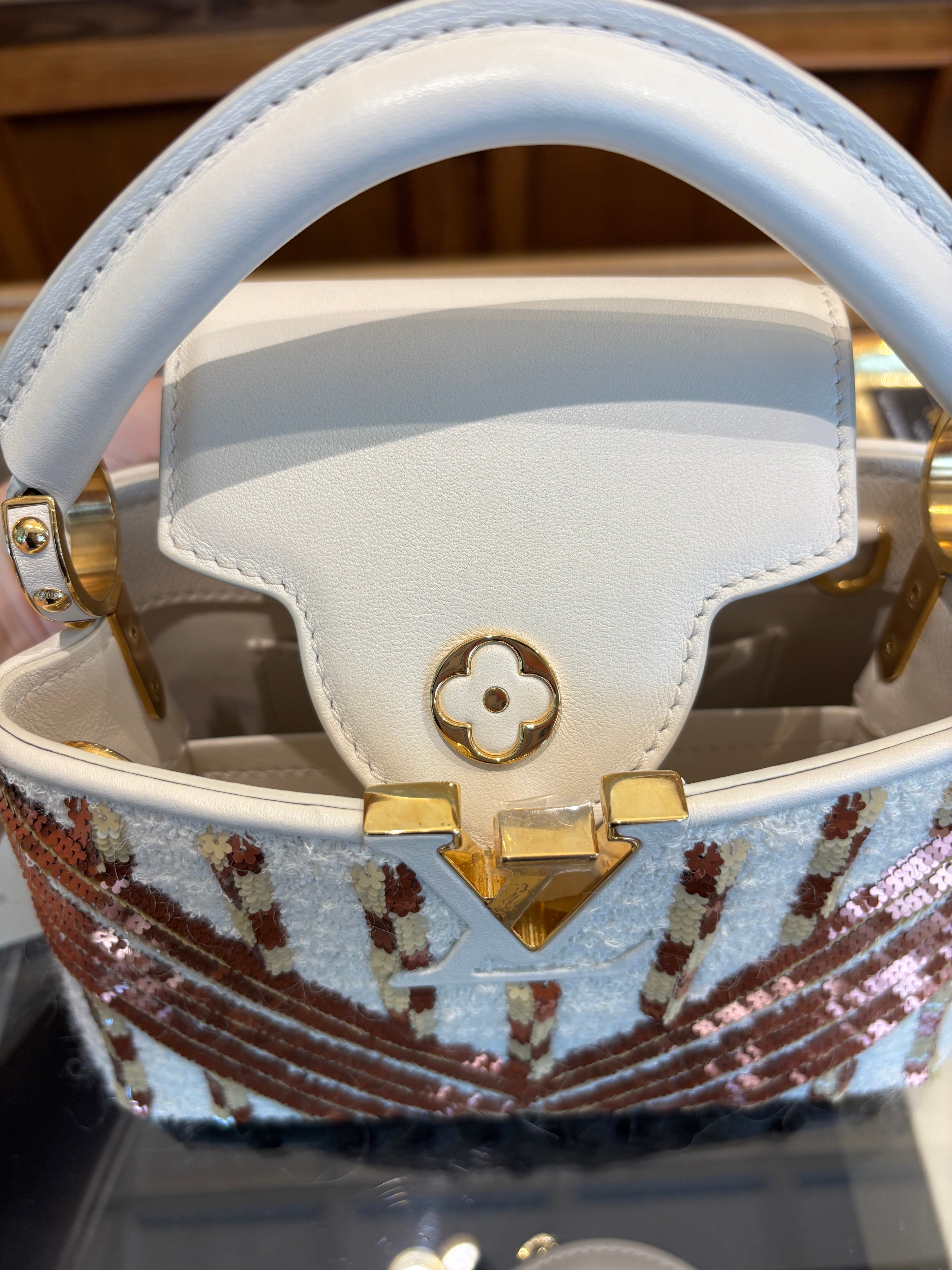 Louis Vuitton Capucines