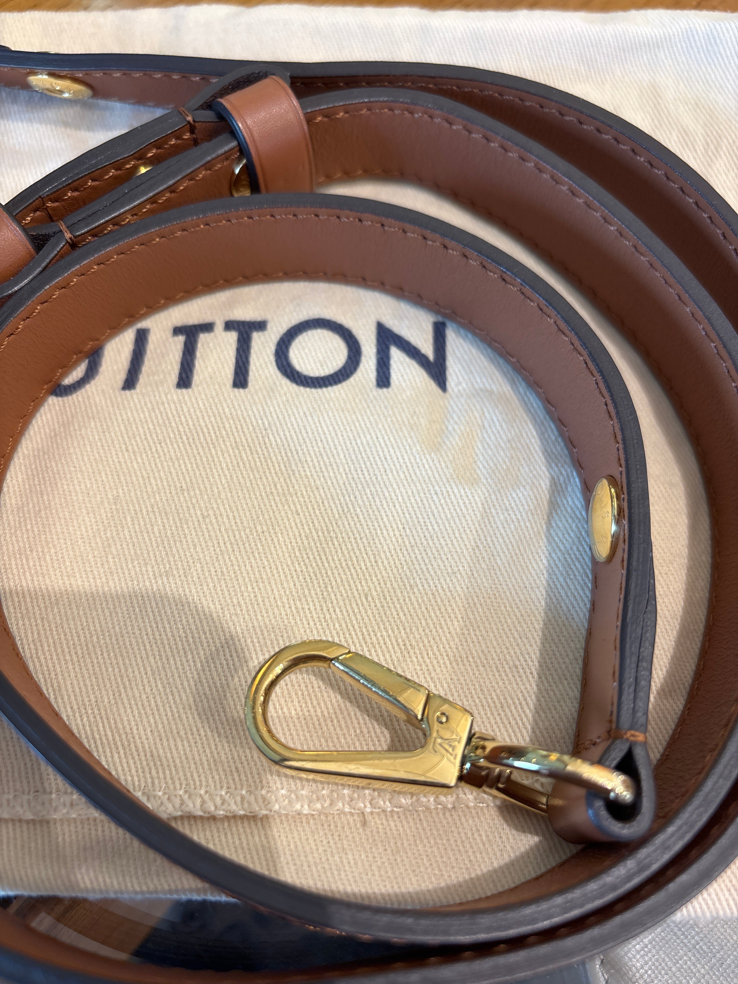 Louis Vuitton Dauphine